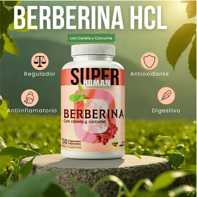 Berberina HCL - con Canela y Cúrcuma, Cápsulas.